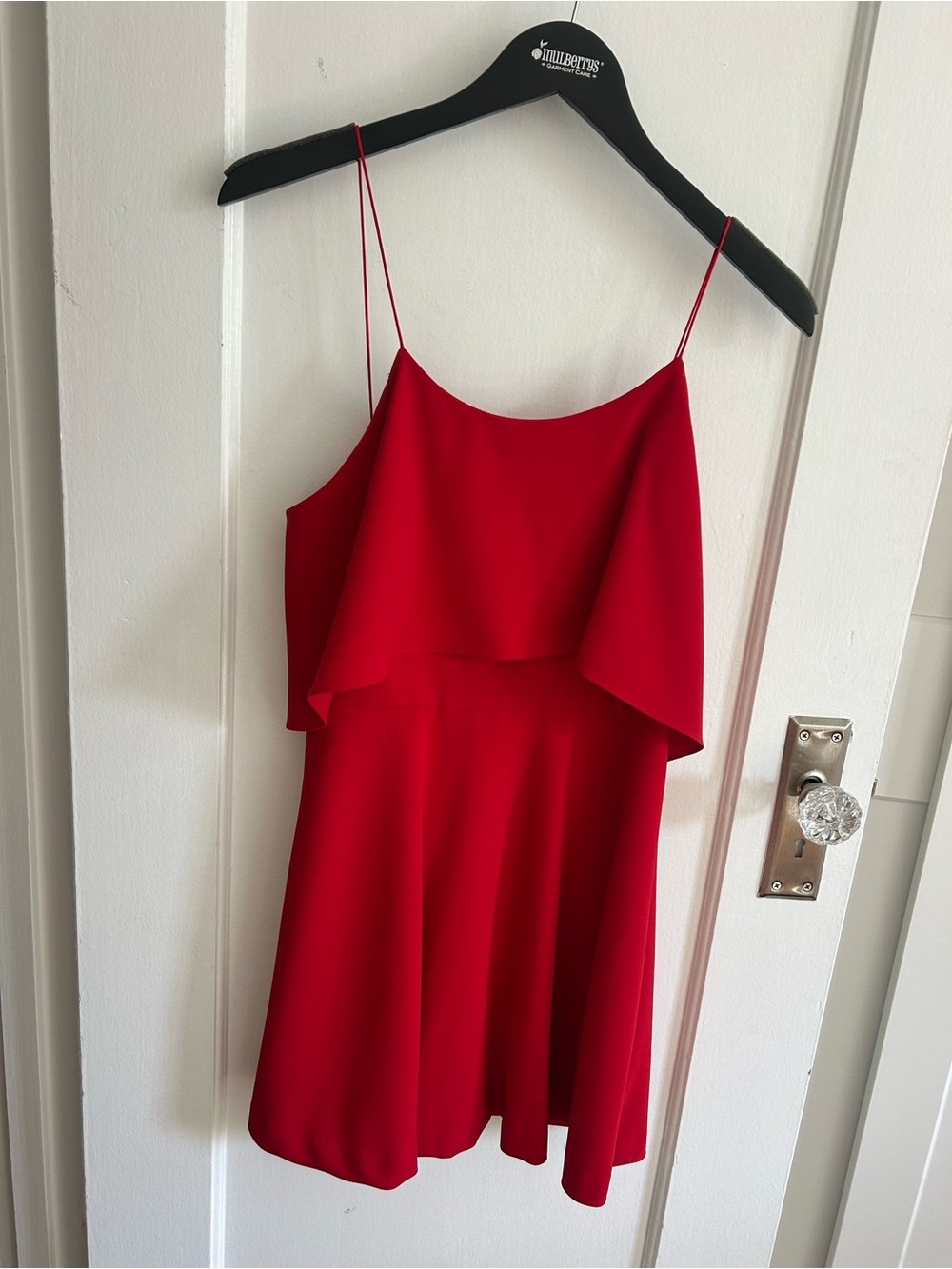 Alice + Olivia Vibrant Red Spaghetti Strap Overlay Mini Dress